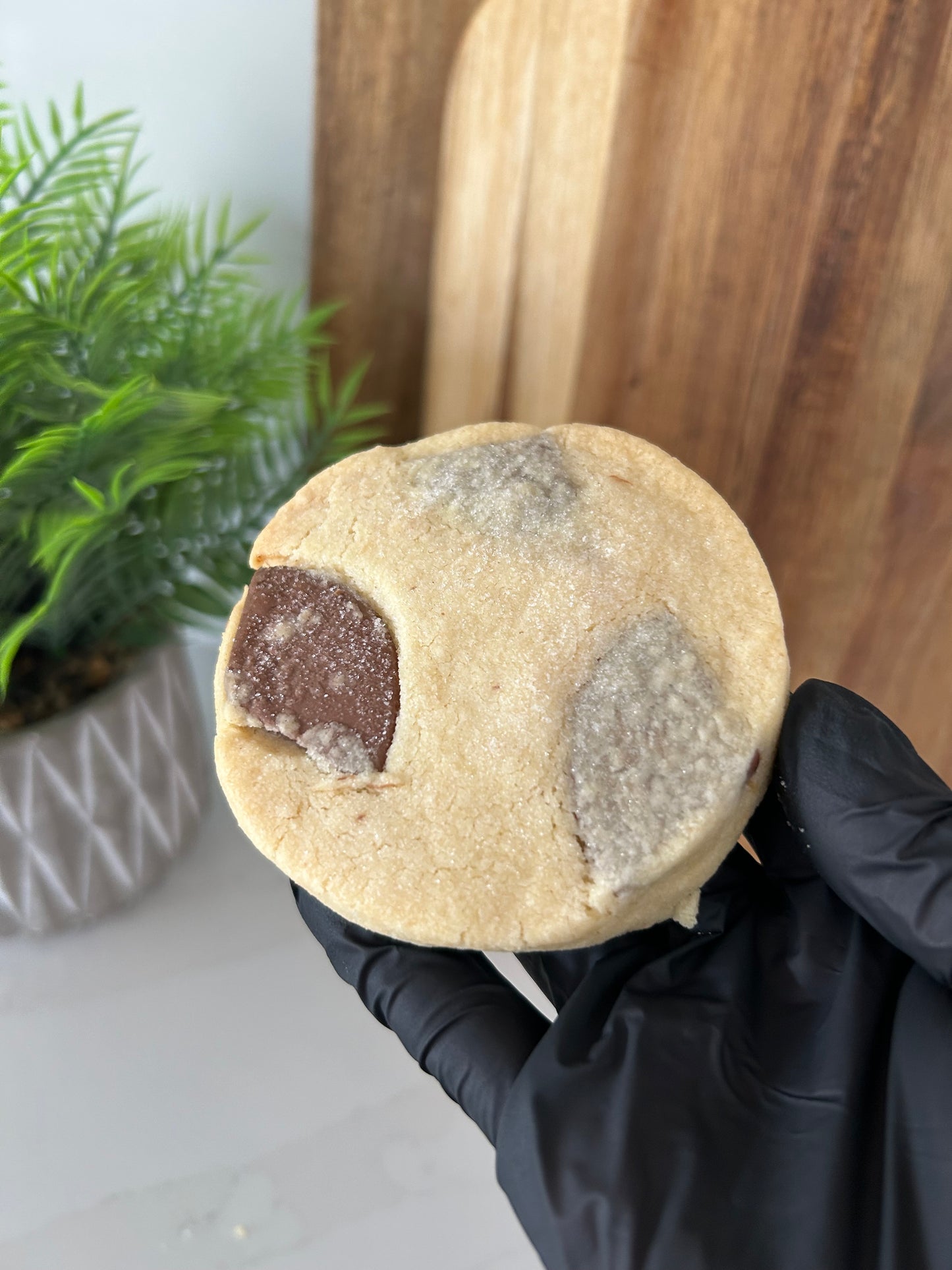 Chocolate Button Shortbread (pack of 4)