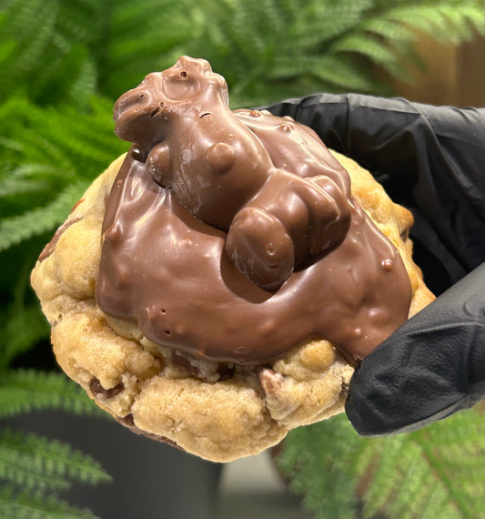 Mixed NYC Cookie Box